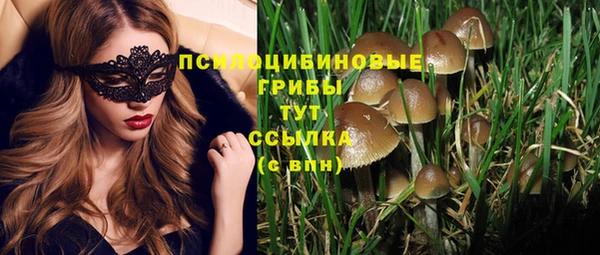 PSILOCYBIN Аркадак