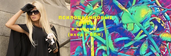 PSILOCYBIN Аркадак